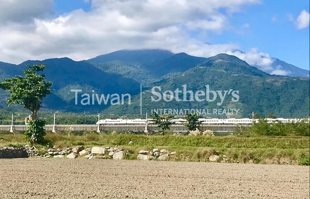 台東鹿野台九線旁萬坪漂亮農地現場實景